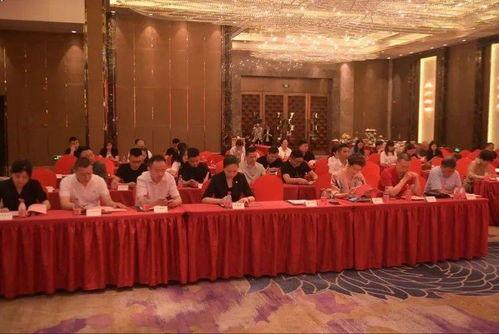 国产福利三区,探索中国影视产业的繁荣与魅力